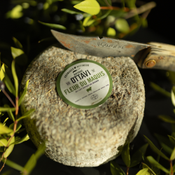 Fleur du Maquis Ottavi – Fromage corse affiné 1 mois (40 jours)