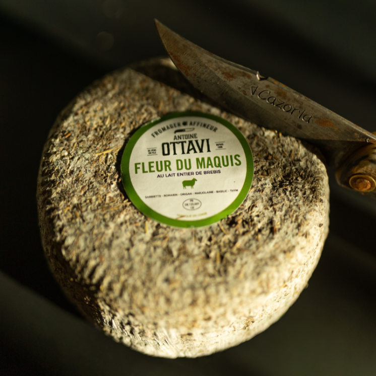 Fleur du Maquis Ottavi – Fromage corse affiné 1 mois (40 jours)