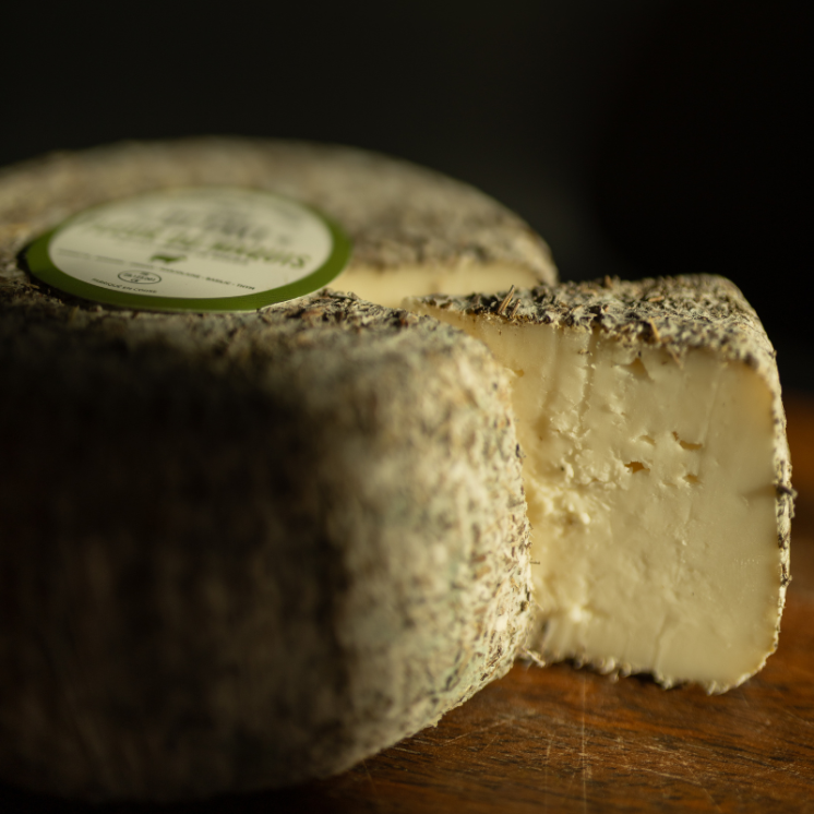 Fleur du Maquis Ottavi – Fromage corse affiné 1 mois (40 jours)