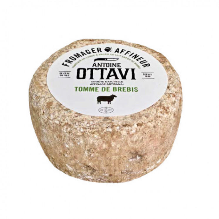 Tomme de brebis Antoine Ottavi