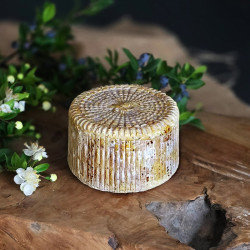 Tomme de brebis Antoine Ottavi