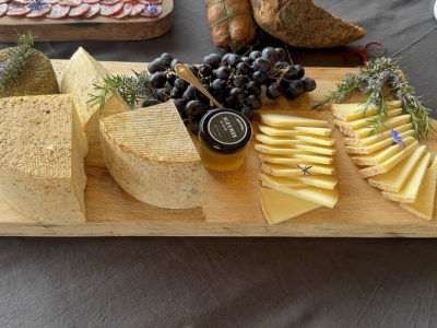 Quels vins corses pour accompagner vos fromages ?