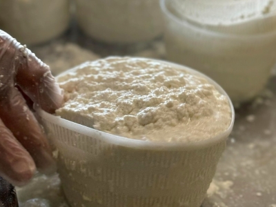 Secret de fabrication : Le Brocciu